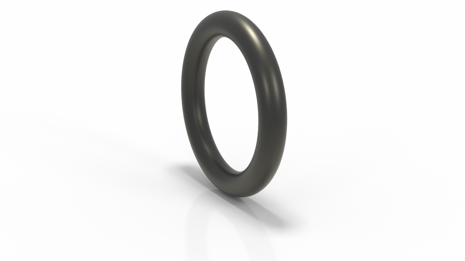 KF 25 O ring FKM