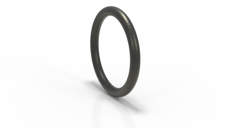 KF 40 O ring FKM